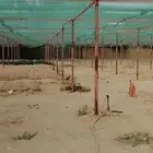 حديد وروكلين مشتل 50 90 متر