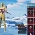 حساب بوبجي فخم   Premium PUBG account