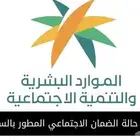 خدمات تسجيل الظمان المطور