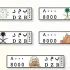 لوحه مميزه ب م د 8000