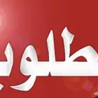 مطلوب شقة في الشرايع