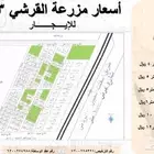 الدمام