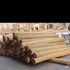 خيزران رولات