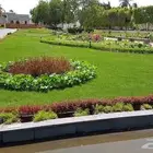 تيل طبيعي واشجار طبيعي وزارع طبيعي