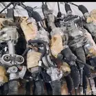 دودة دركسون جمس شفرليه وتاهو وجمس سيراء