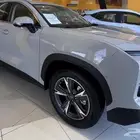 جيتور داشينج