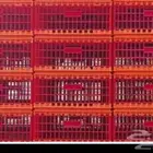 أقفاص لنقل دجاج الحي اسعار خاص بيع جملة