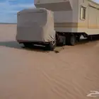 يوجد راويات يوجد بنت هولندي بيلت الماني شداد هولندي شداد