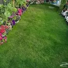 مشتل الزرع الطبيعي جميع انواع الزرع الطبيعي