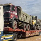 لوبد متواجد في الرياض