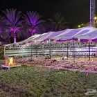 ايجار خيام وبيوت شعر