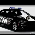 شركه حراسات امنيه