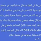 للبيع مزرعة في الغولاء شمال جدة بالقرب من جامعة عسفان