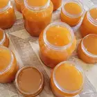 عسل بلدي مضمون ومشروط