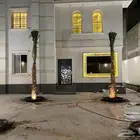 ابوسالم لتوريد النخيل الوشنطني