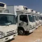 دينه تجميد وتبريد خمسه متر
