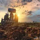 (تربة زراعي تربة دفان للعماير والاحواش حجارة بناء )