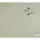 باركيه اس بي سي