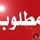 مطلوب دينا مديل 2016 بدون تيربو مشي قليل حافظةشاصي خمسه ونص