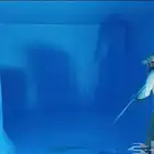 شركه عزل تنظيف خزان تنظيف خزانات المياه وعزل خزانات الارضيه