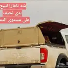 للبيع شد نافارا