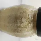 مخمر الملفوف