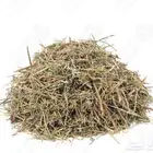 شيح قيصوم. عبيثران