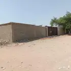 حوش1650 م للايجار الخمرة