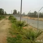 مقاول شبوك وسياجات امنيه