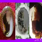 خاتم عقيق مصور نوادر