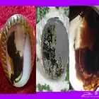 خاتم عقيق مصور نوادر