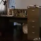 طاولة مكتبيه للبيع 250 ريال