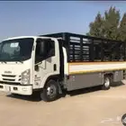 مطلوب ديانه للبيع