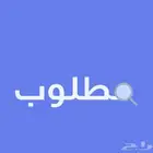 مطلوب شقة للايجار