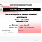مدرب عصا الننشاكو