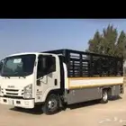 مطلوب ديانه للايجار الشهري داخل تبوك