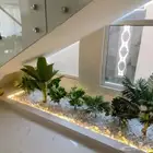 احواض زراعيه وتيل طبيعي