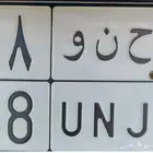 لوحة سيارة مميزة حنو دلع حنان وحنين