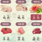 معلم ومترجم لغه صينيه