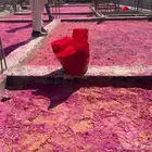 مبيد حشري وجاء الاصلي لمكافحة التمل الابيض والحشرات