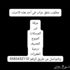 مطلوب شقق عزاب للايجار