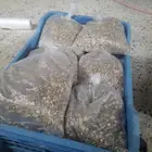 اعلاف دجاج