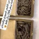 عود
