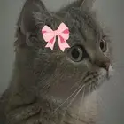 بيع سكوتش ستريت