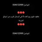 مفقود طيور روز
