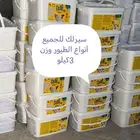 اكل بلبيل.و. وطيور واكل قطط