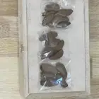عود مروكي