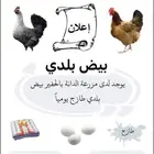 بيض بلدي