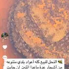 نحل أعواد بلدي