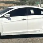 جنوط سوناتا كروم